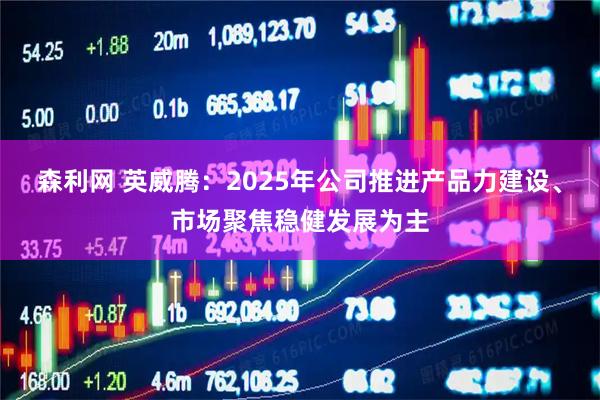 森利网 英威腾：2025年公司推进产品力建设、市场聚焦稳健发展为主