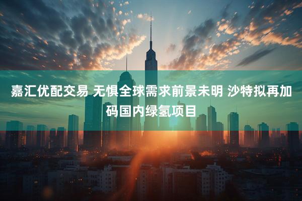 嘉汇优配交易 无惧全球需求前景未明 沙特拟再加码国内绿氢项目